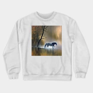 water impression Crewneck Sweatshirt